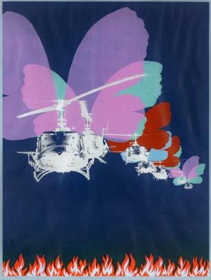 Amerikanske sommerfugler