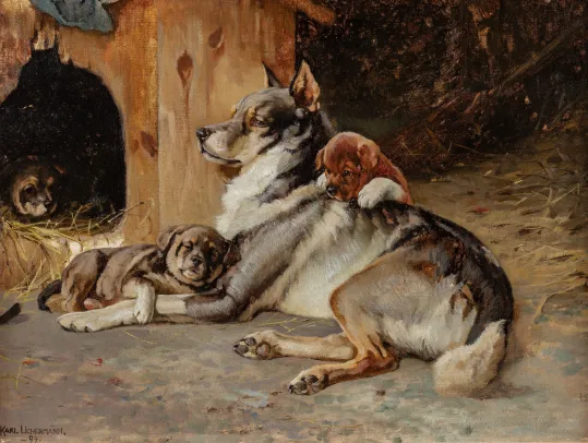 "Elghund med valper"