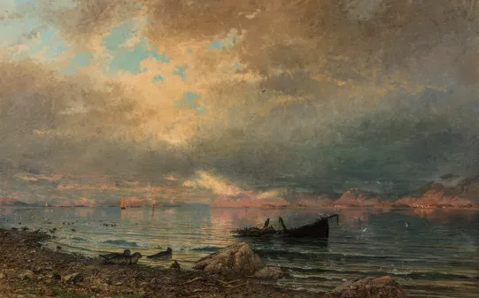 "Fjordlandskap med sel og båt"