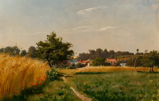 "Landskap med valmuer"