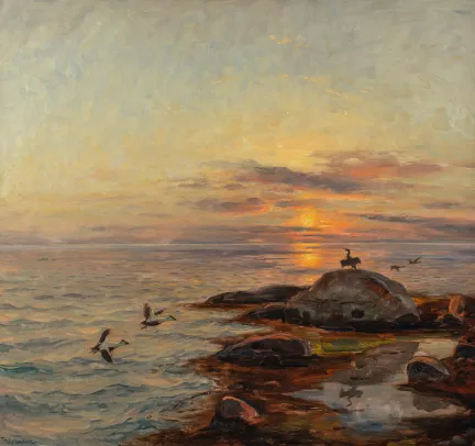 Aftenstemning med skarver