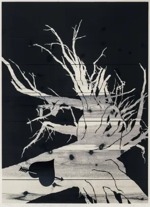 F.seri. 197/200 "Norwegian wood"