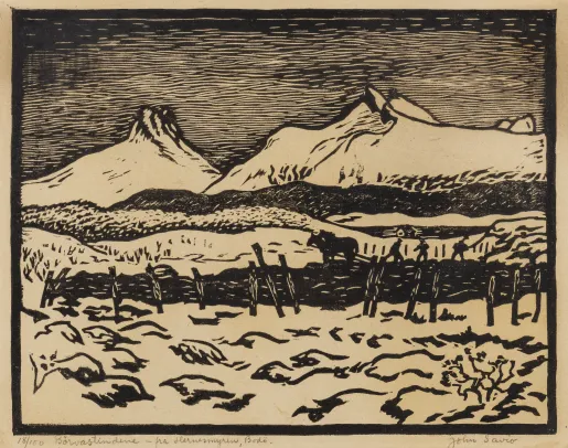 Tresn. "Børvastindene, fra Flernesmyren, Bodø"