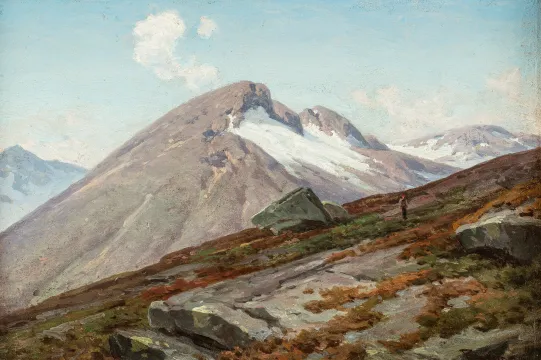 Fjellandskap