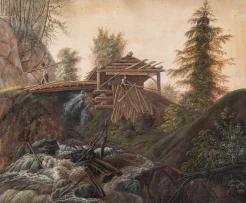 Fosselandskap med sag