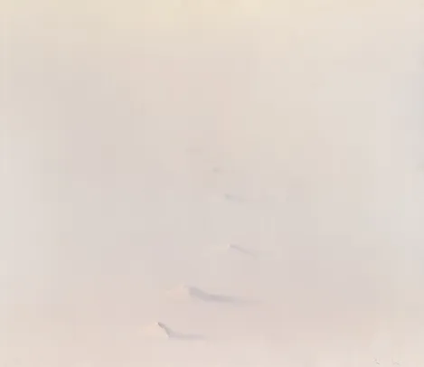 Morgenlys over breene - Svalbard