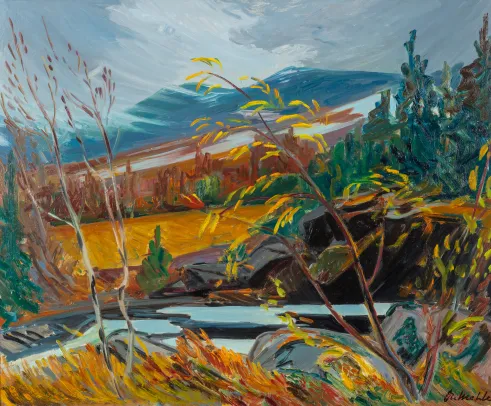 Novemberdag ved Mesna