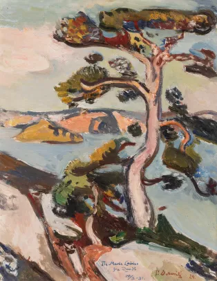 Kystlandskap med furu