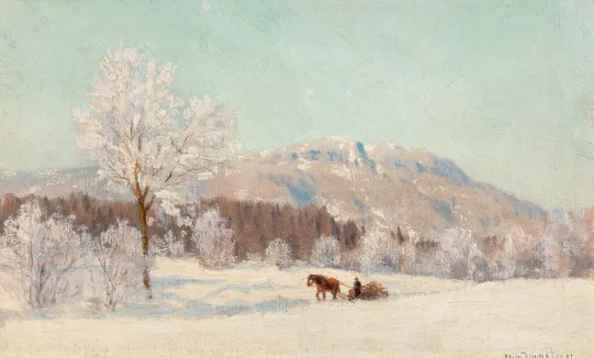 Vinter, Fleskum