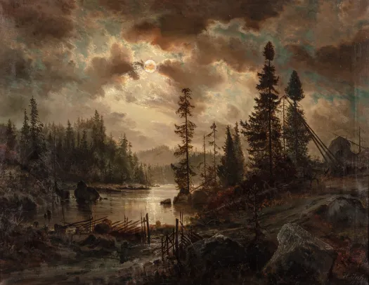 Skoglandskap i måneskinn