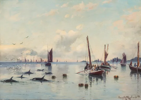 Sildefiske med niser